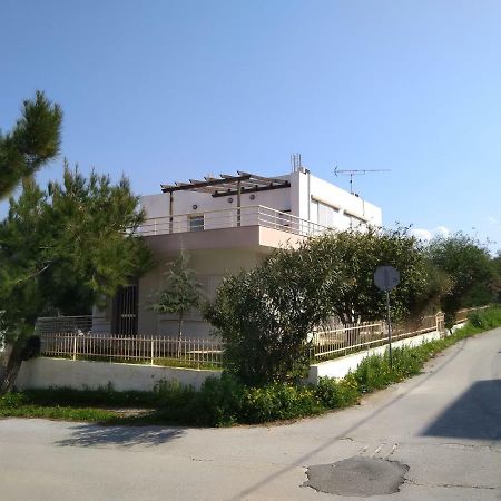 Thanasis Villa Kounoupidhianá エクステリア 写真