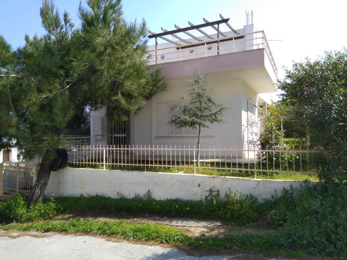 Thanasis Villa Kounoupidhianá エクステリア 写真